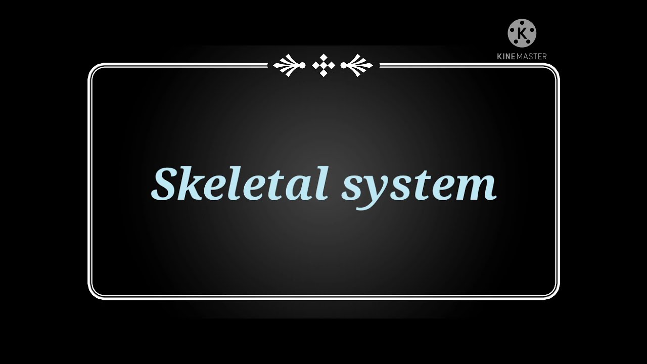 The skeletal system . #endoskeleton and exoskeleton #  full explanationIn hindi # names of all bones