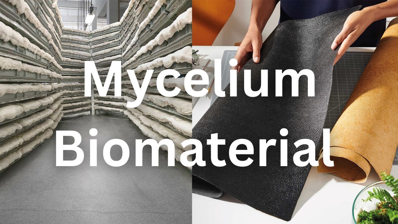 Mycelium Biomaterial | Eco-Friendly Leather Production | Mushroom Leather