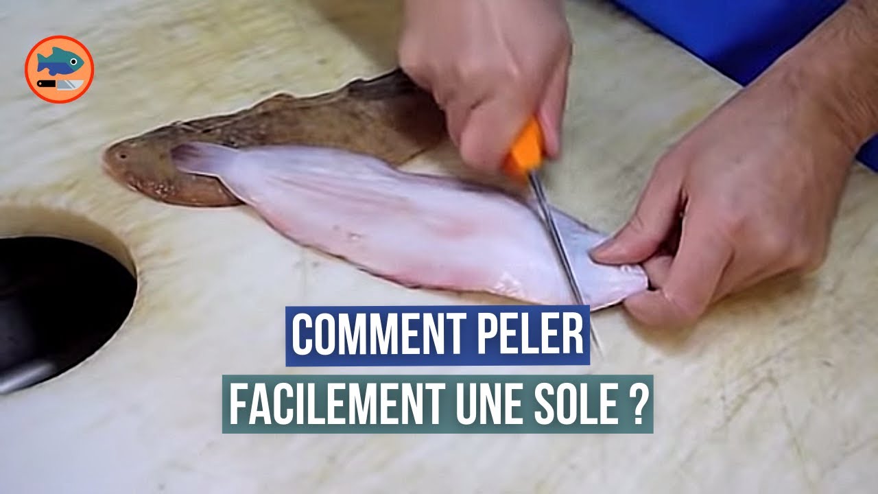 Comment peler une sole ?