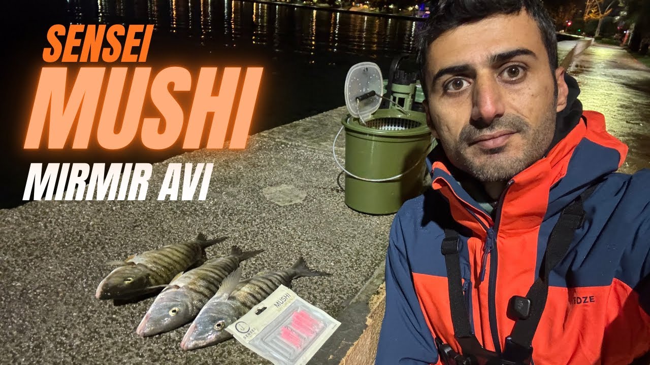 Başrolde Yine Sensei Mushi - Hafif Takım ile Mırmır Avı