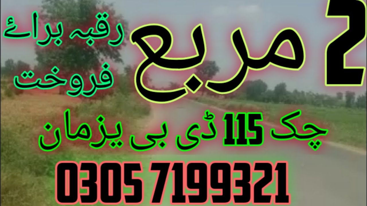 Land For Sale in Yazman Mandi Chak 115 Db:Land For Sale 03057199321