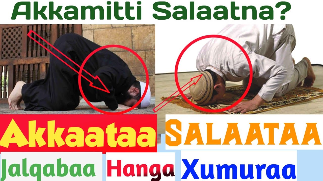 Akkaataa Salaata Itti Salaatan Jalqabaa Hanga Xumuraa | صفة صلاة النبي