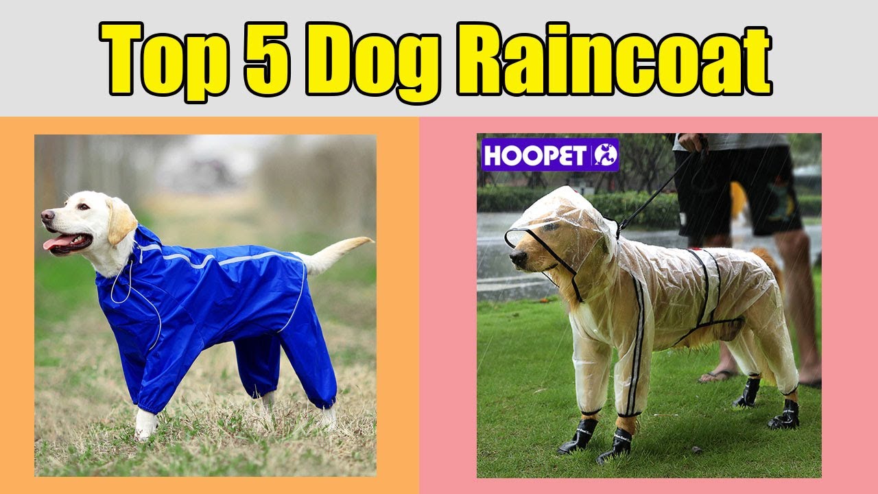 Best Dog Raincoat