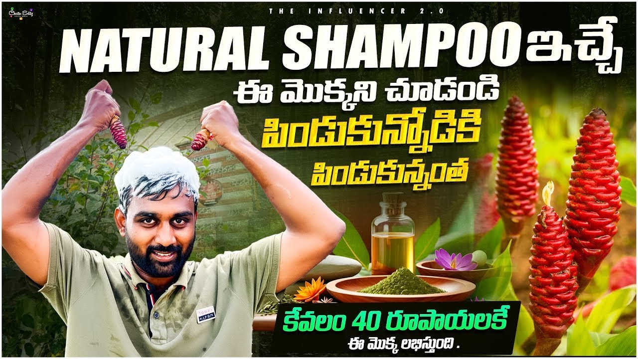 Unique plants collection | లైఫులో ఎలాంటి మొక్కలు చూసి ఉండరు | కేవలం 40 రూపాయలకే ఏ షాంపూ మొక్క ……