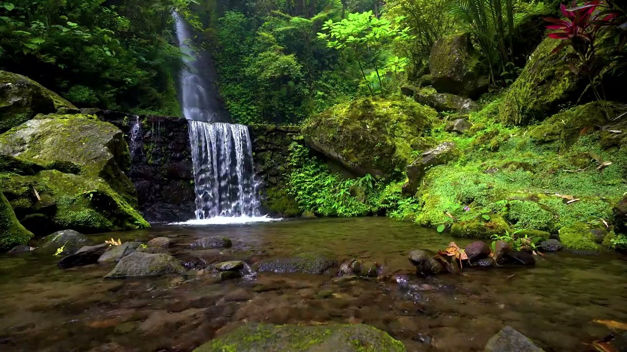 Natural white noise and river sound therapy for better sleep and focus