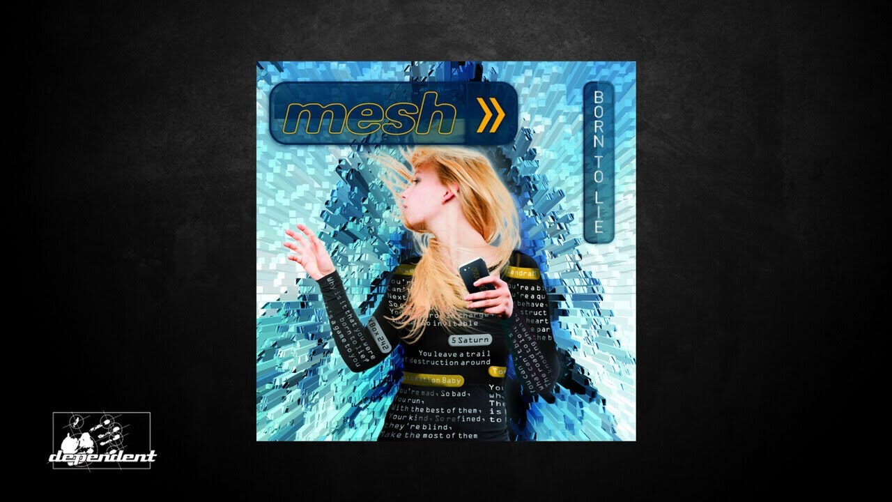 Mesh - Black Dog