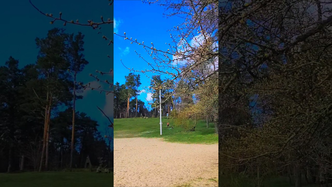 Житомир, Гидропарк #апрель #nature #spring #weekend