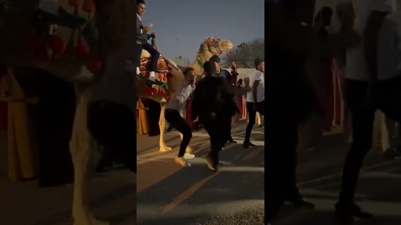لوطی-آهنگ جنوب-ساز و دهل-چمکی-رقص بندری