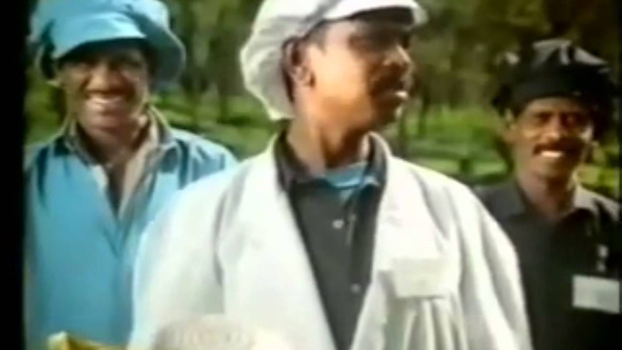 Typhoon 'Two Thumbs Fresh' Adverts x3