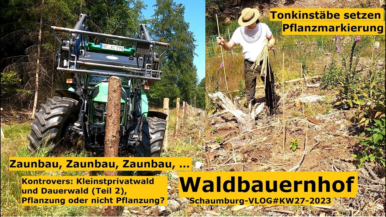 Waldbauerbericht:  Zaunbau, Erlenblattkäfer, Tonkinstäbe, Planungen