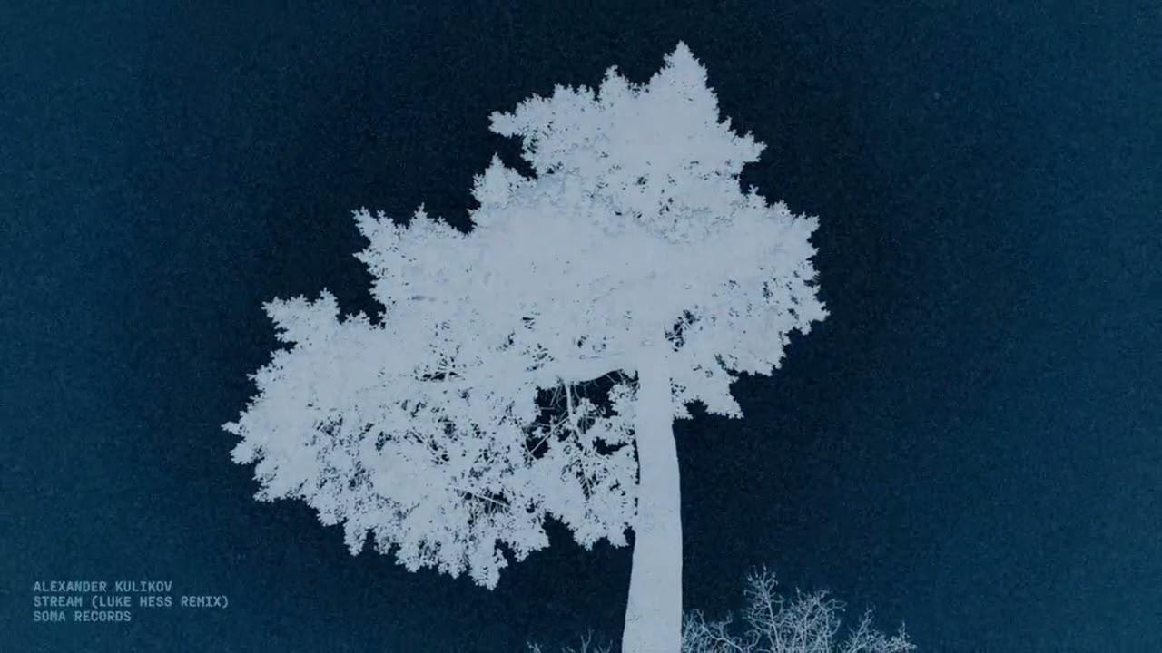 Alexander Kulikov - Stream (Luke Hess Remix) [OFFICIAL MUSIC VIDEO]