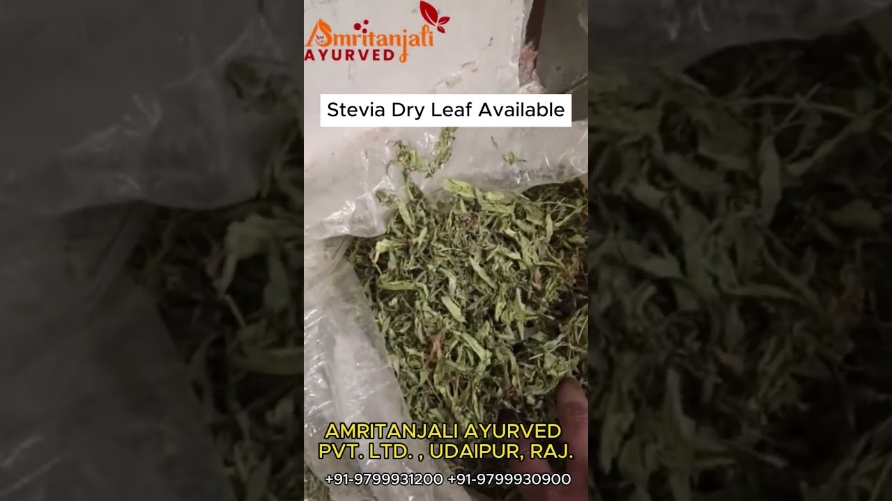 Premium Quality Stevia Leaves Available | Bulk Orders, Secure Packaging, On-Time Delivery 9799930900