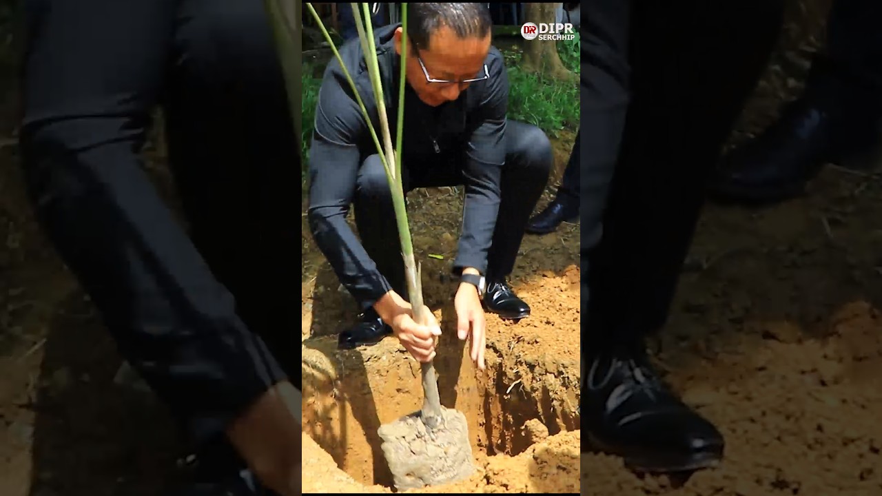 Serchhip Beautification Committee-in Palm kung an phun