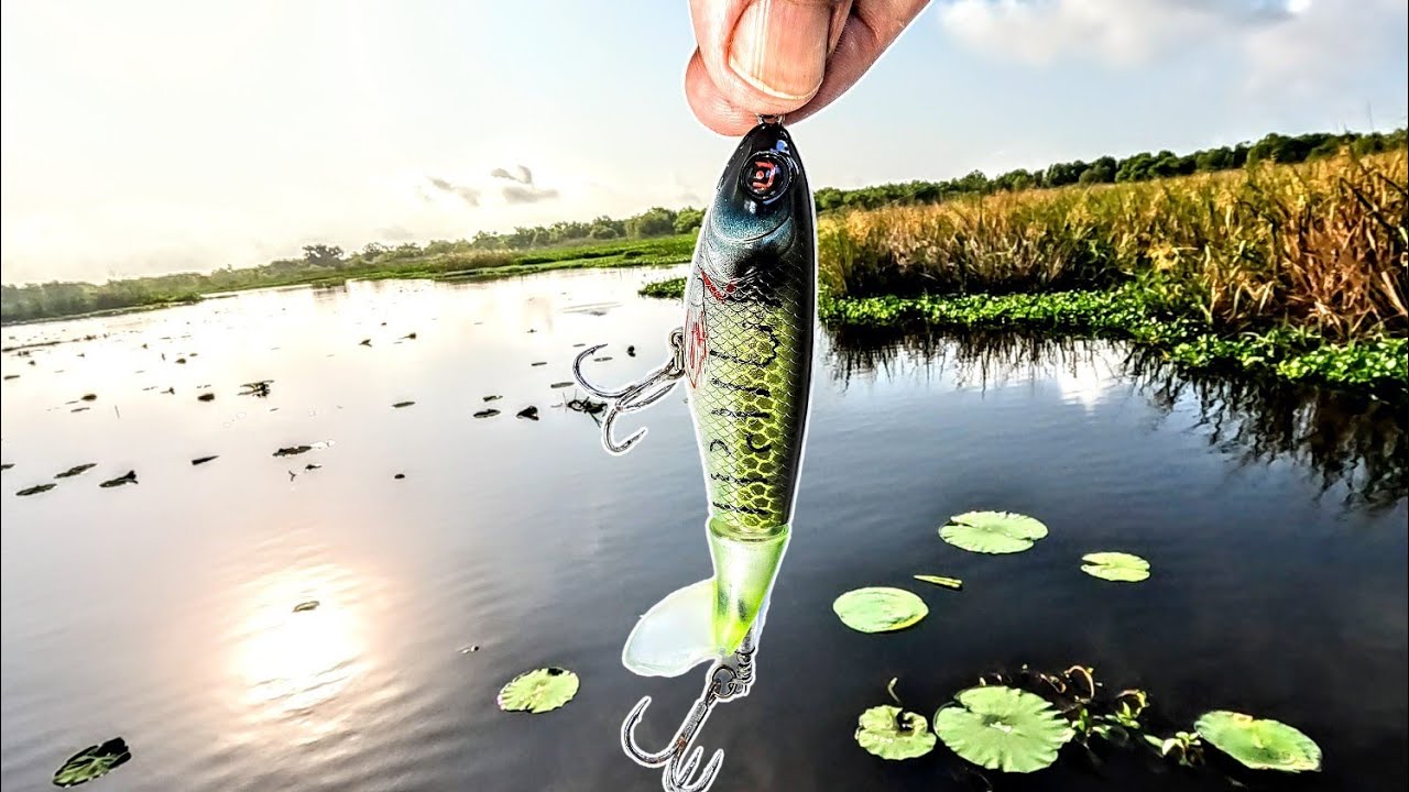Bass Fishing in the Louisiana Marsh using Topwater Baits! (Catch and Cook)