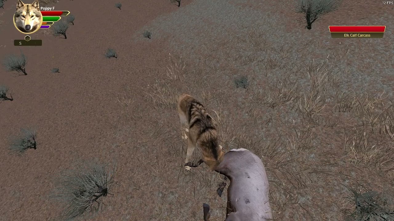 Poppy F X Centi M EP 1