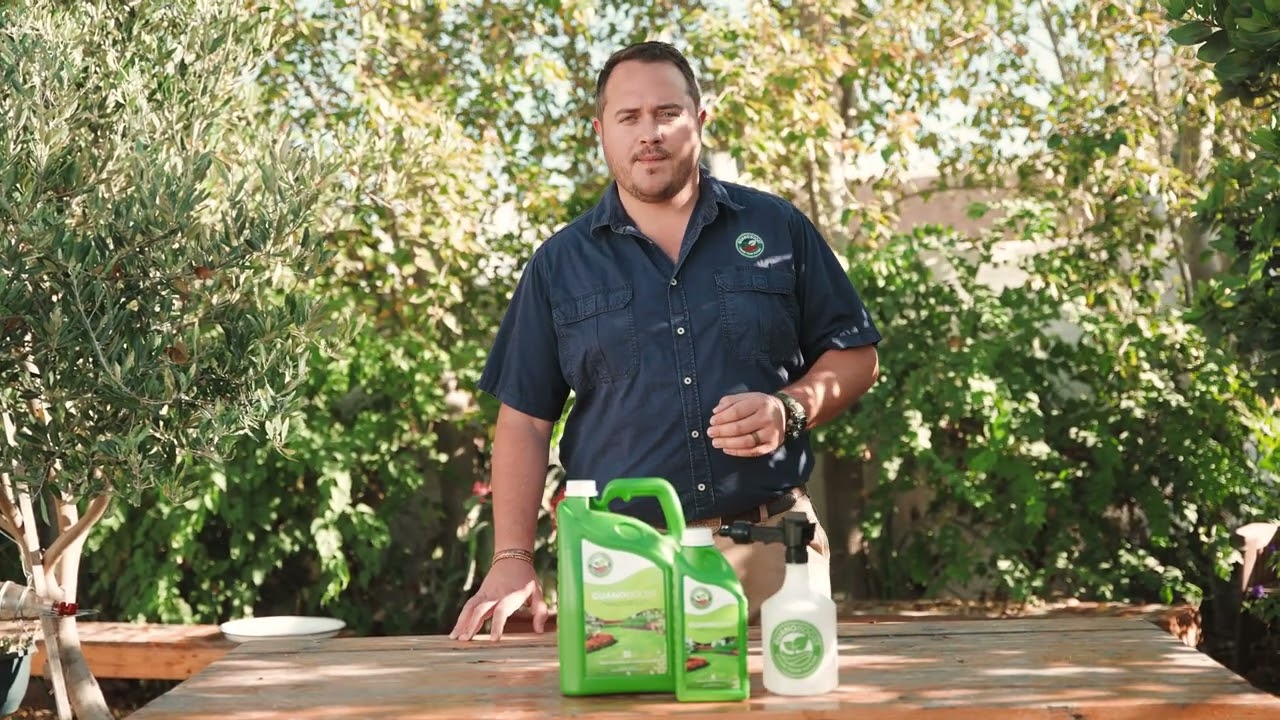 How To Use GuanoBoost Liquid Fertiliser