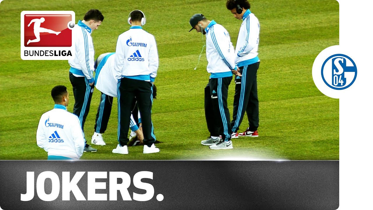 Schalke Players vs. Hertha Groundsman