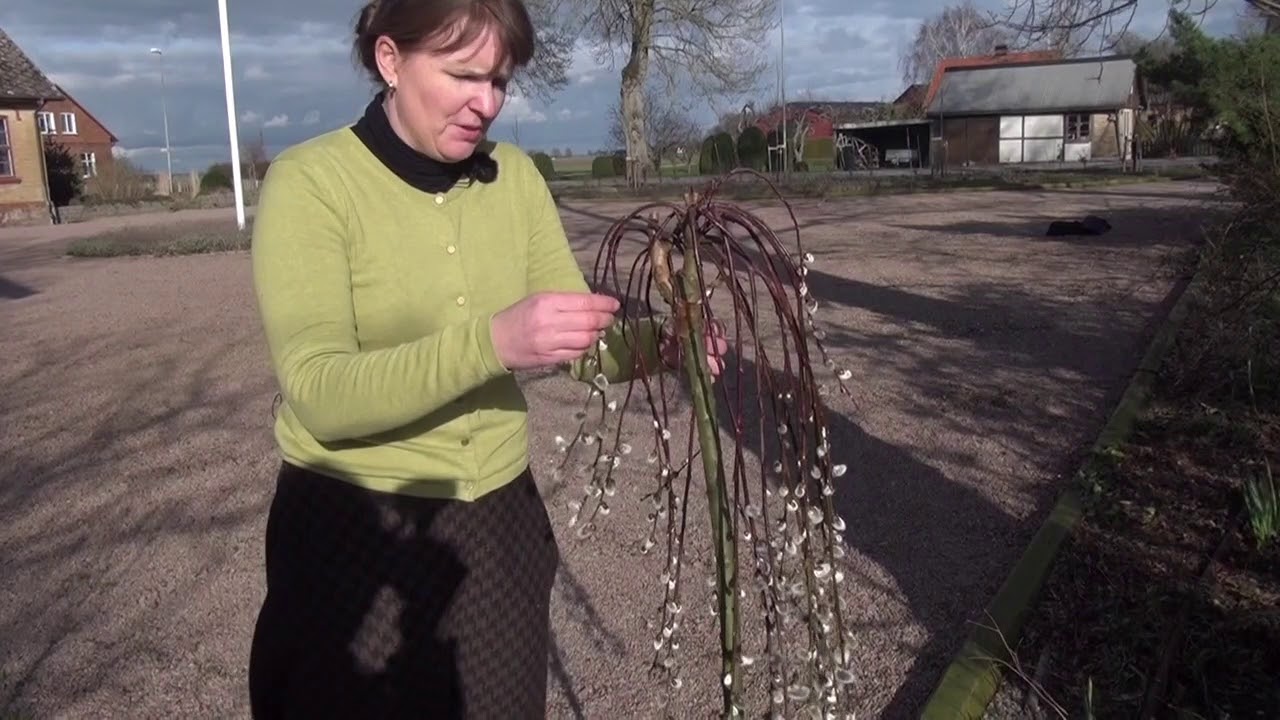 Att g&ouml;ra skillnad f&ouml;r v&aring;ra pollinerare del 1