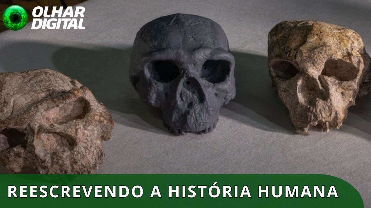 Crânio de um milhão de anos pode mudar história da evolução humana