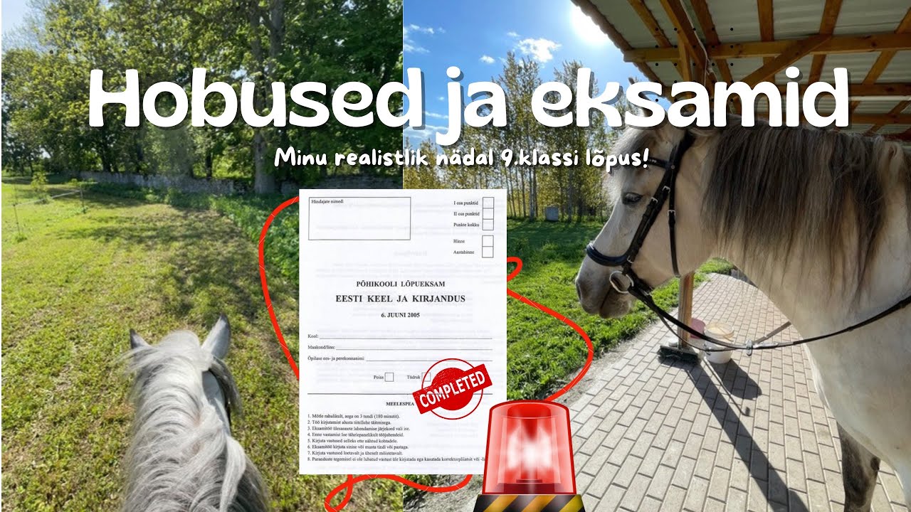 Hobused ja eksamid - nädal minu elus põhikooli lõpetajana