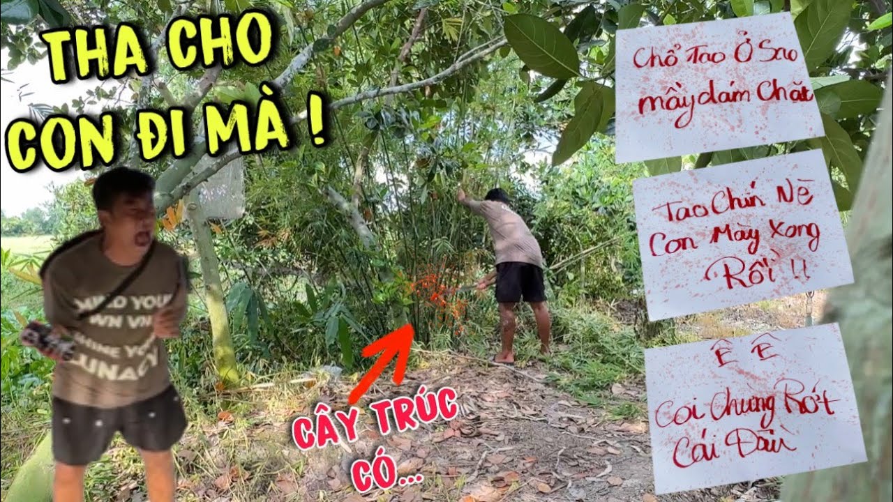 TNB - Danh Hú Hồn Hú Vía Khi Đốn Nhằm Bụi Trúc Có Phần Âm Trú Ngụ Và Cái Kết...