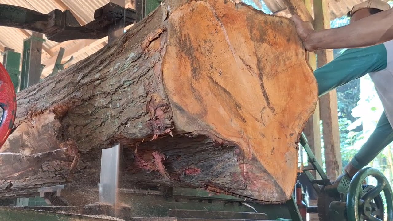 The spirit of the tough sawmill workers never fades