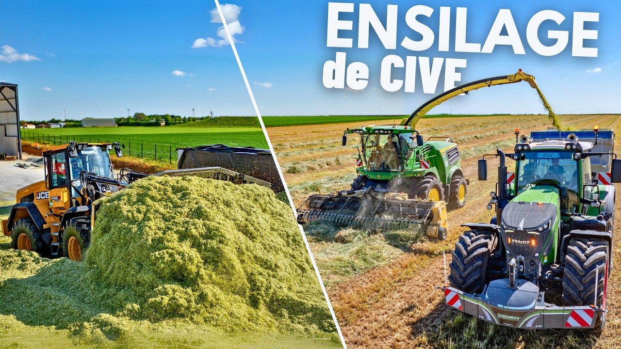 ENSILAGE DE CIVE DANS CETTE METHANISATION - JCB 435S au tas