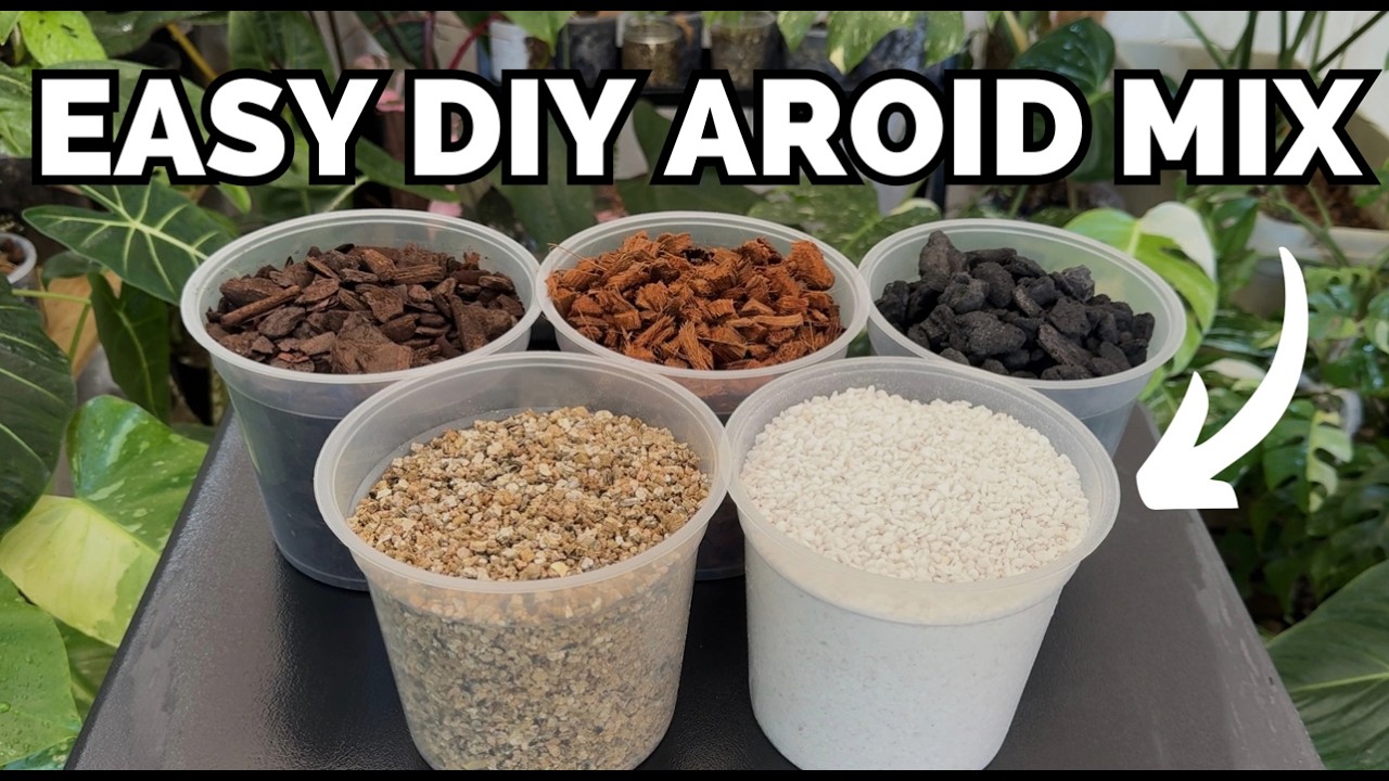 How to make AROID MIX for Indoor Plants
