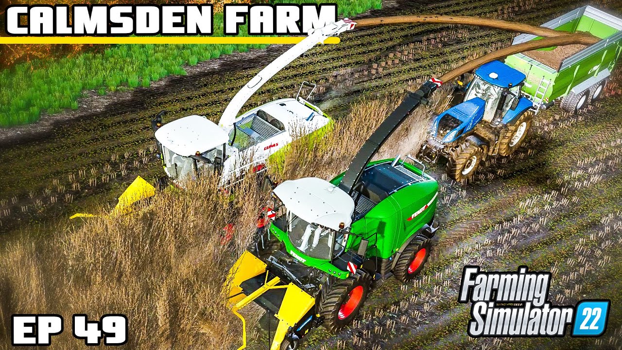 THIS CROP HAS TO GO COMPLETELY! | Calmsden Farm | Farming Simulator 22 - Episode 49