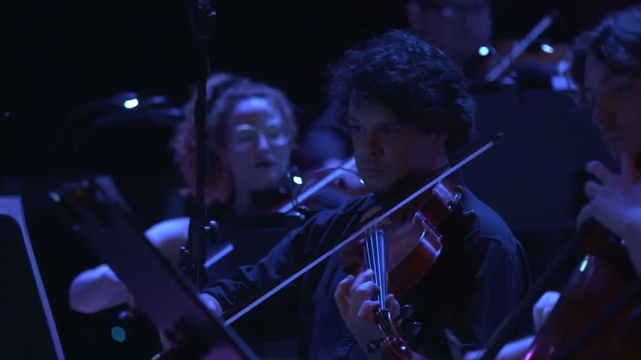 CONCIERTO  BIPOLAR - Nico Sorín