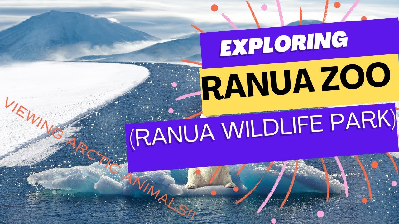 Tour around RANUA Resort (Ranua Wildlife Park/Zoo) near Rovaniemi, FINLAND in Lapland