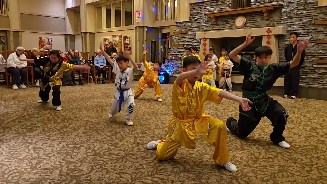 Mo Fan Taichi Wushu Lake Bonavista community performance Feb 2026