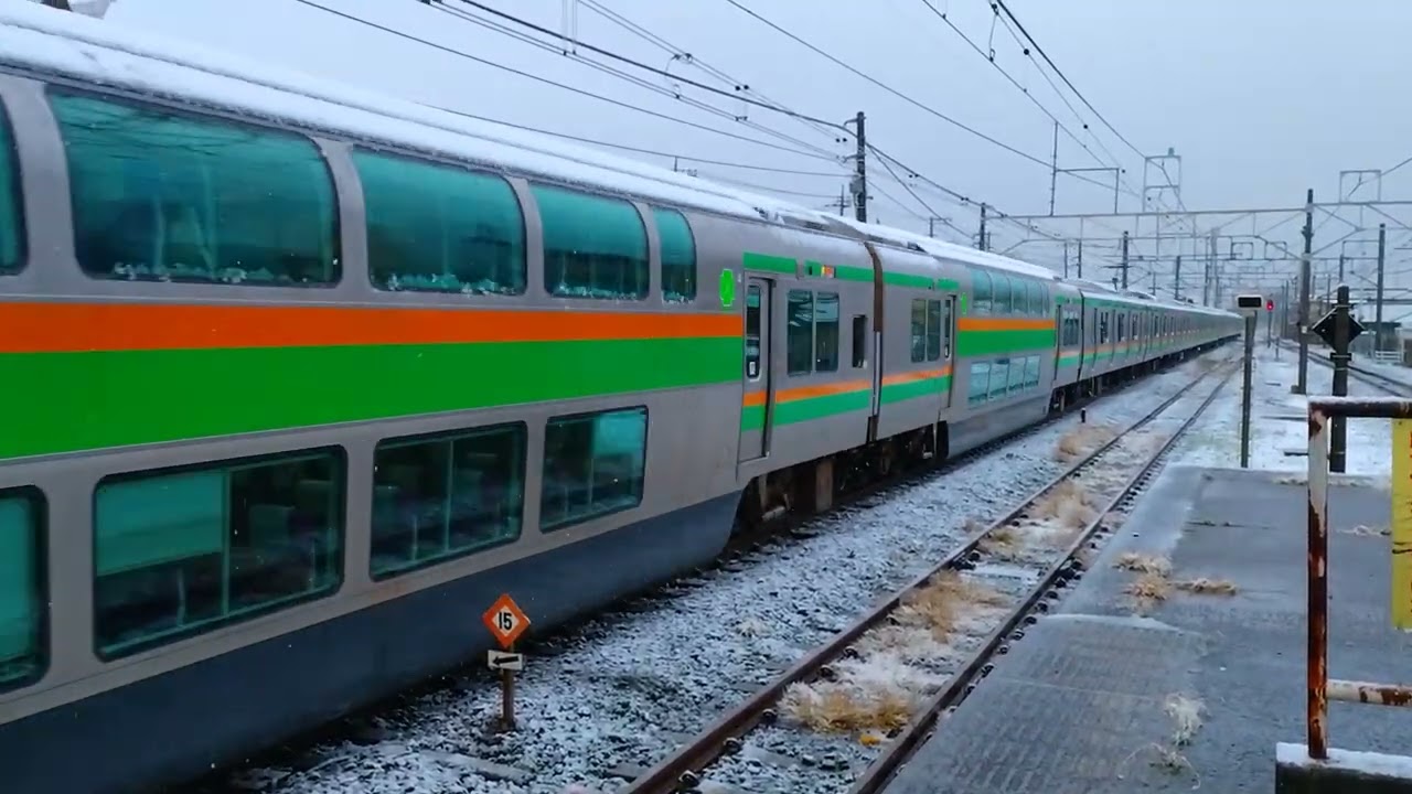 白岡駅1番線　231+233系発車シーン