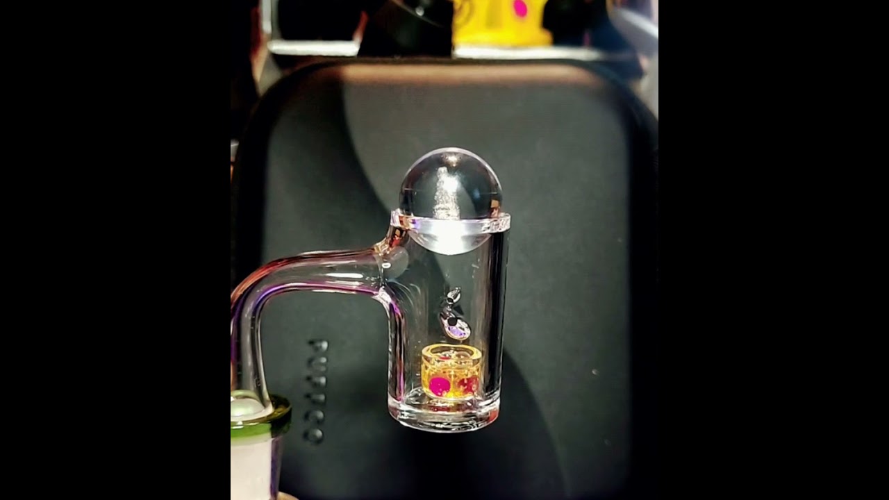 Bear Quartz Auto Pro w/ White Rhino Quartz drop-in Insert