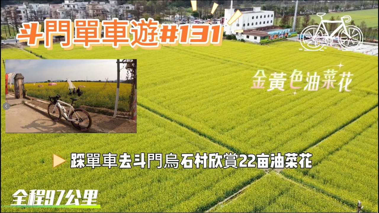 【2026斗門單車遊】大家新年快樂🎆 踩單車去斗門烏石村欣賞20亩油菜花花海丨澳門》97公里〉斗門丨Vlog#131 #斗門 #騎行