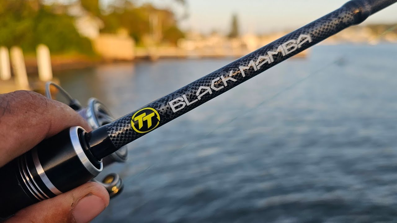 Насколько хороши удилища TT Lures Black Mamba?