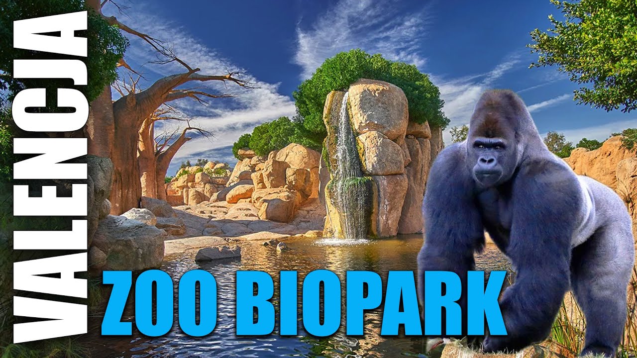 VALENCIA BIOPARC 🇪🇸 - ZOO NOWEJ GENERACJI👌