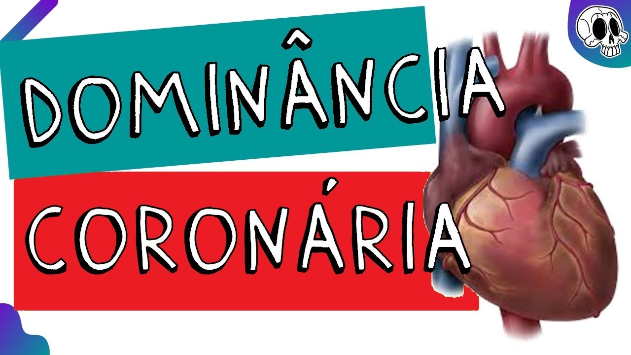 Art&eacute;rias coron&aacute;rias | Domin&acirc;ncia coron&aacute;ria | Cruz Cordis