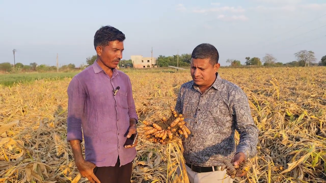 शेतकरी = गणेश दतराव नांगरे गाव हिवरा बेल ता जि हिंगोली हळद पिकाबदल माहिती देताना 