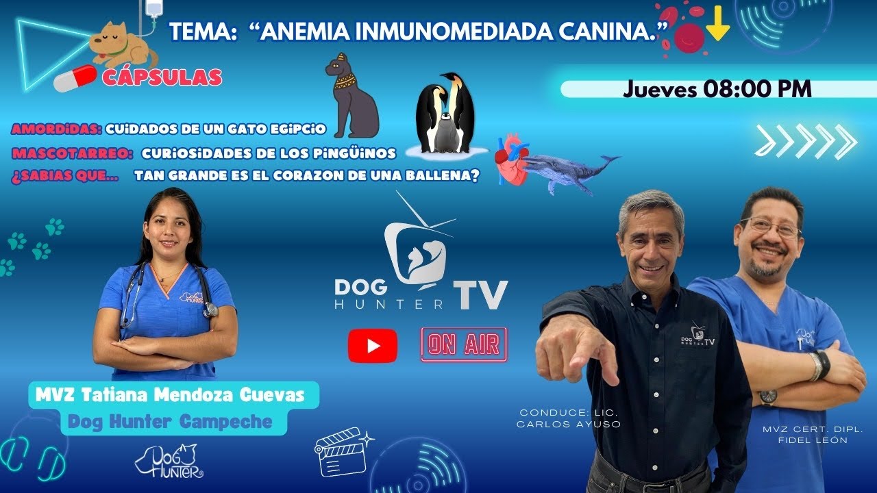ANEMIA INMUNOMEDIADA CANINA