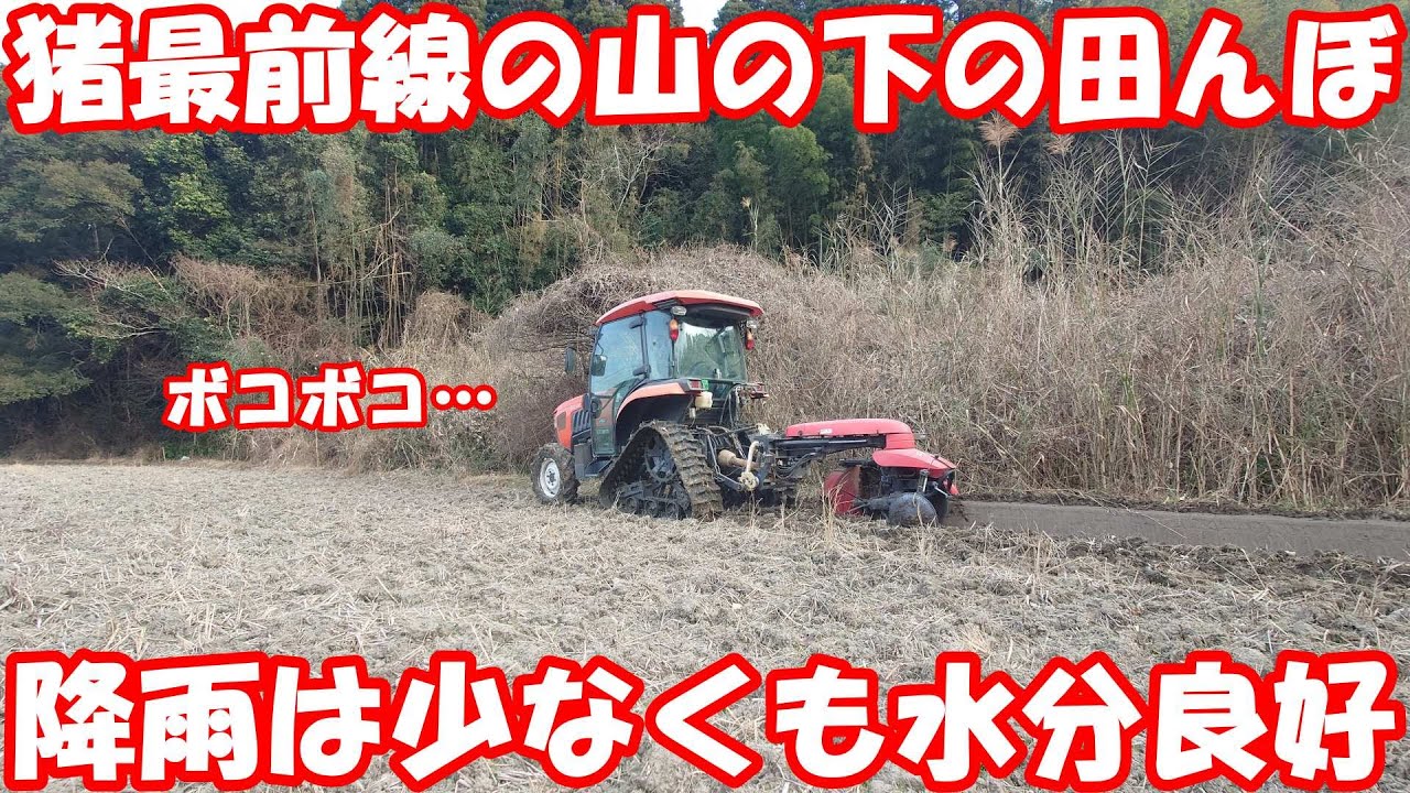 メリットとデメリットの振れ幅が激しい田んぼ。#畦塗り 