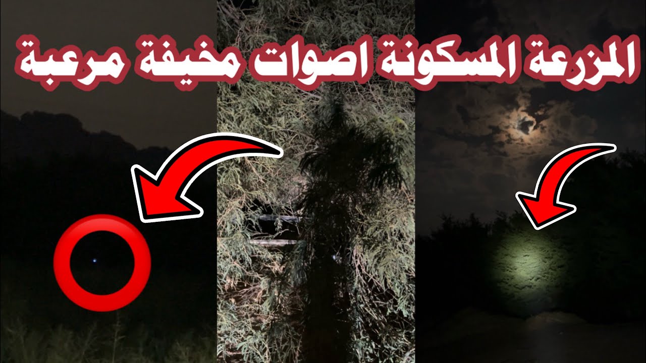 دخلت مزرعة قديمة مسكونة شفت جن حقيقي 😱 | #المغامر_عبدالله_العنبري 