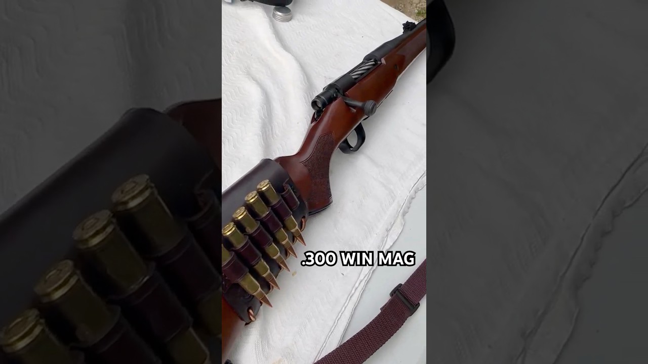 Is this THE best cartridge for hunting? (.300 Winchester Magnum)  #hunting #airsoft #gaming #cod