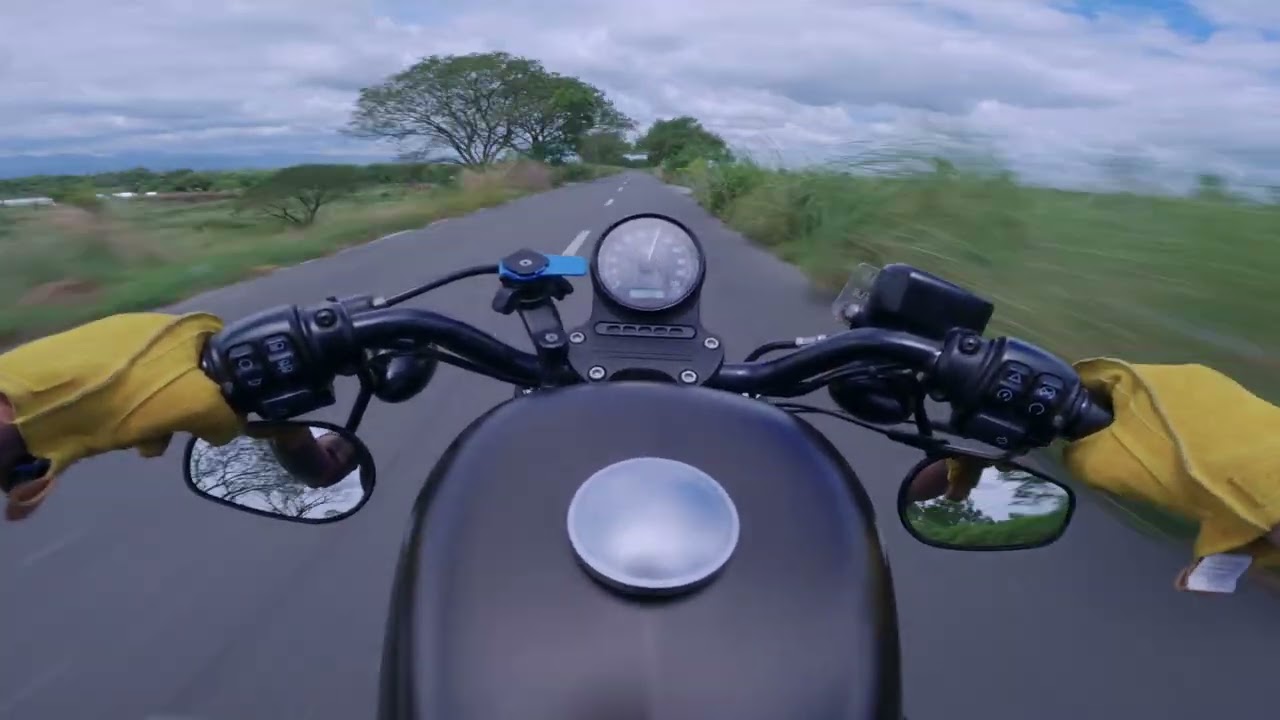 PURE RAW SOUND - Harley Davidson Iron 883   Big Radius exhaust