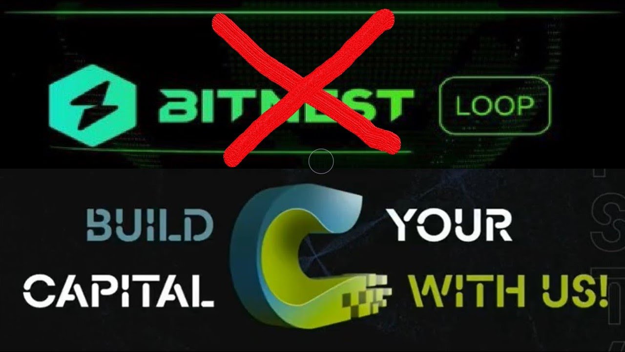 Cyrus Finance review, Bitnest replacement, new project, registration, withdrawal