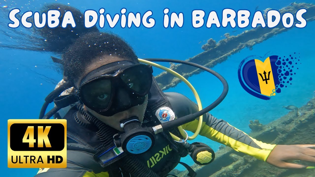 Solo Traveler's Guide to Scuba Diving in Barbados: Shipwrecks and Stingrays | 4K Travel Vlog 2024