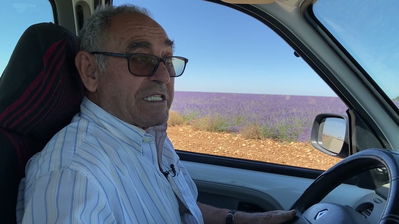 LA ALCARRIA