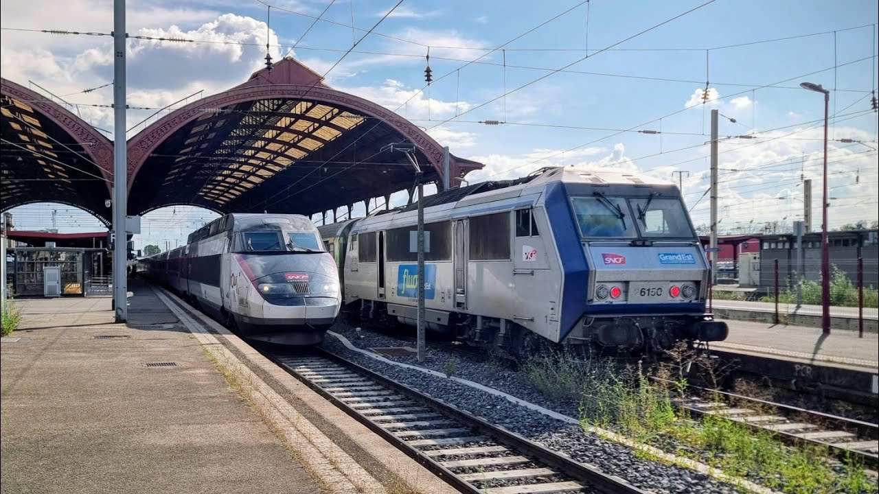 Straßburg im Sommer 2025 - Strasbourg, été 2025