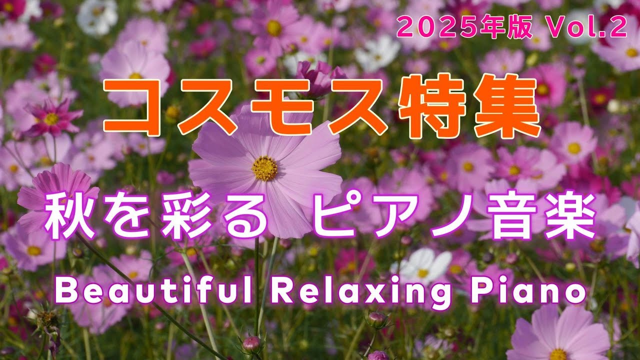 【BGM】🌸秋の花 コスモス特集 [2025 Vol.2] ベストセレクション Vol.7🌸秋を彩る美しいリラックス・癒しピアノ音楽🌸愛に溢れた可憐な花🌸 #リラックス #癒し #ヒーリング