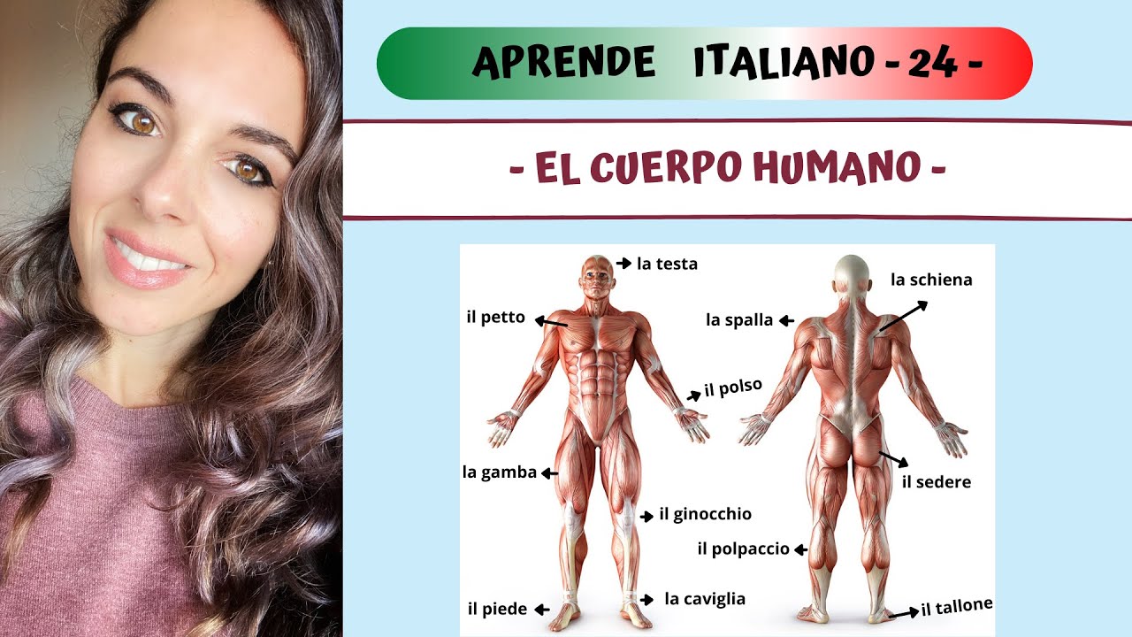 VOCABULARIO: EL CUERPO HUMANO - Aprender Italiano Fácil y Rápido -